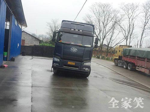 紐荷爾臍橙基地（圖八）