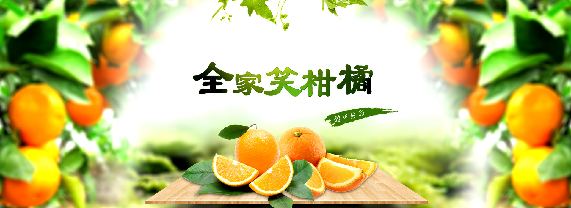 洪江市太平柑桔專業合作社_全家笑柑桔|洪江市柑桔|洪江市冰糖橙|紐荷爾臍橙